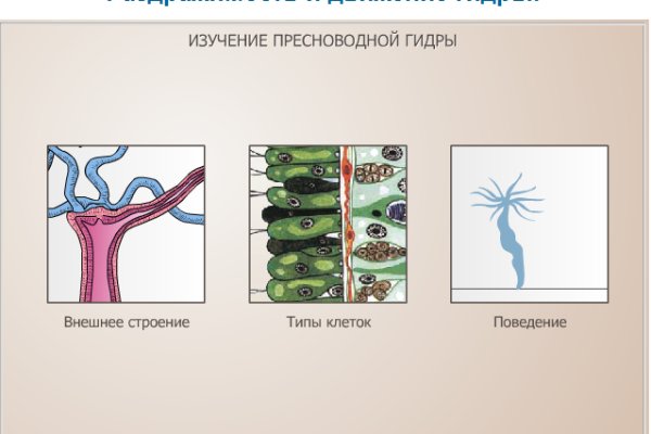 Ссылка на mega market