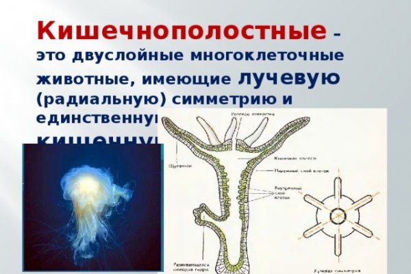 Мега даркнет не работает